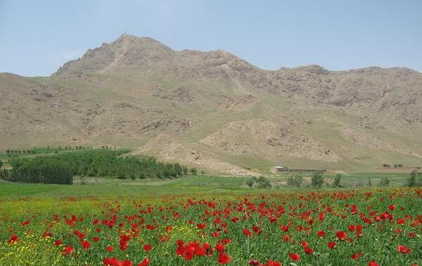 عکس طبیعت صحرا