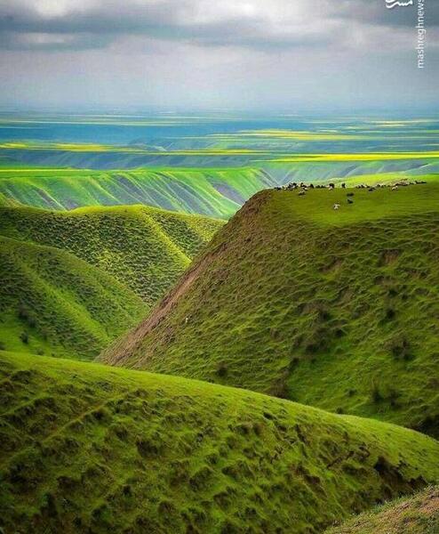 عکس طبیعت صحرا