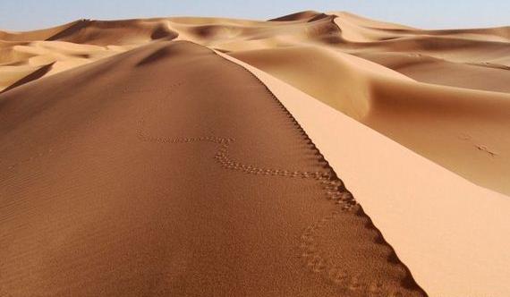 عکس طبیعت صحرا