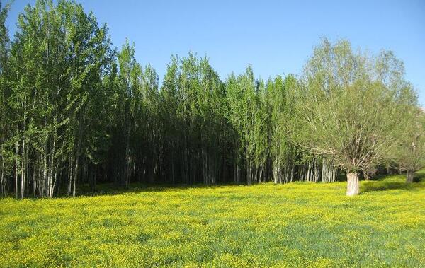 عکس طبیعت صحرا