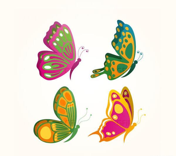 عکس پروانه لایه باز