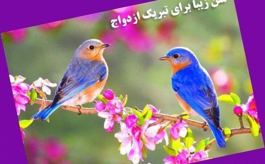 عکس نوشته کارت هدیه