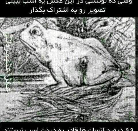 عکس های جالب فکری