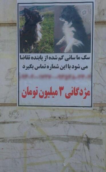 عکس خیلی خنده دار