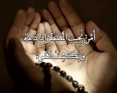 عکس نوشته عمه یجیب