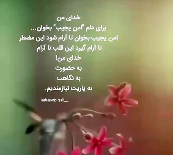 عکس نوشته عمه یجیب