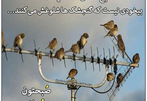 عکس نوشته طنز صبح بخیر