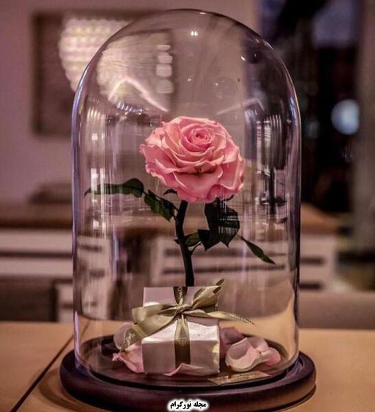 عکس دسته گل تشکر