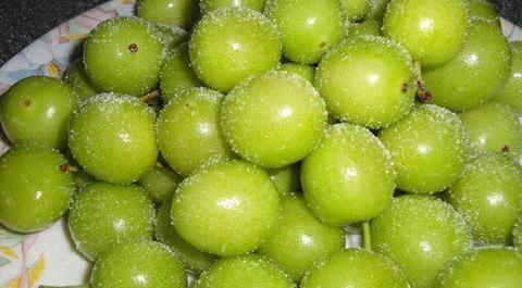 عکس لواشک و آلوچه های خوشمزه