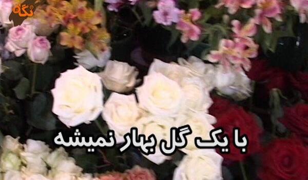 عکس گل ضرب المثل