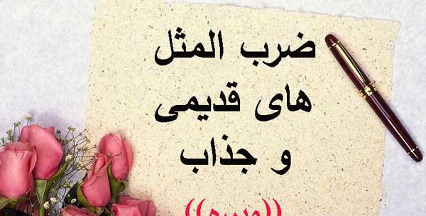 عکس گل ضرب المثل