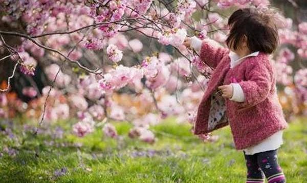 عکس بهار و طبیعت