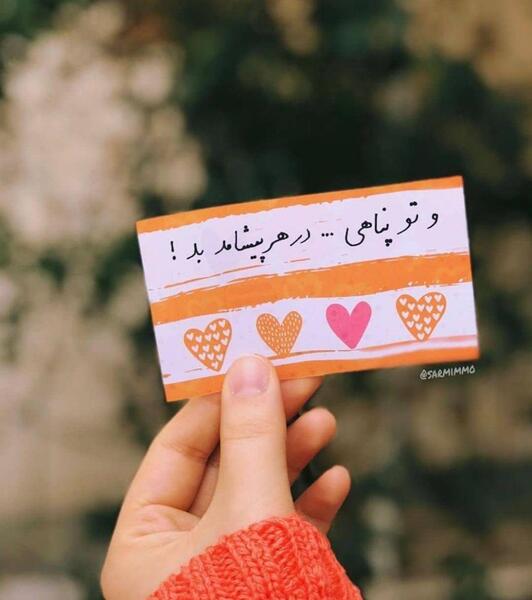 عکس امید پناهی