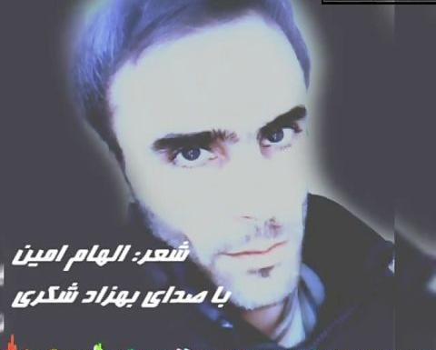 عکس بهزاد شکری