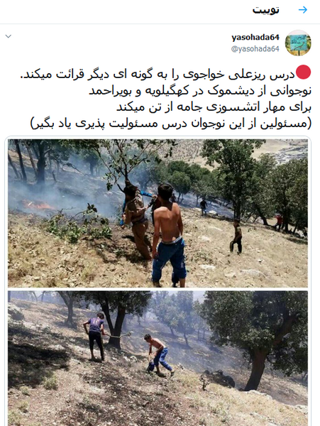 عکس واقعی ریزعلی