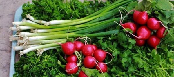 عکس سبزی قورمه سبزی