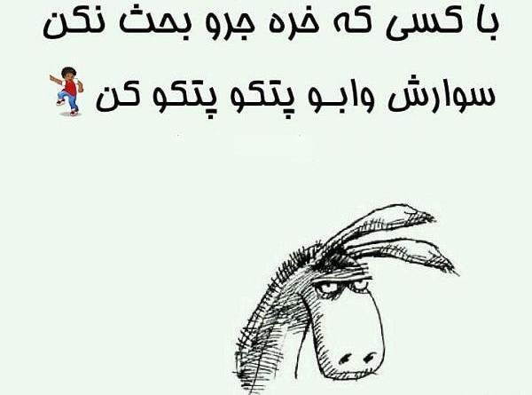 عکس های خنده دار لکی