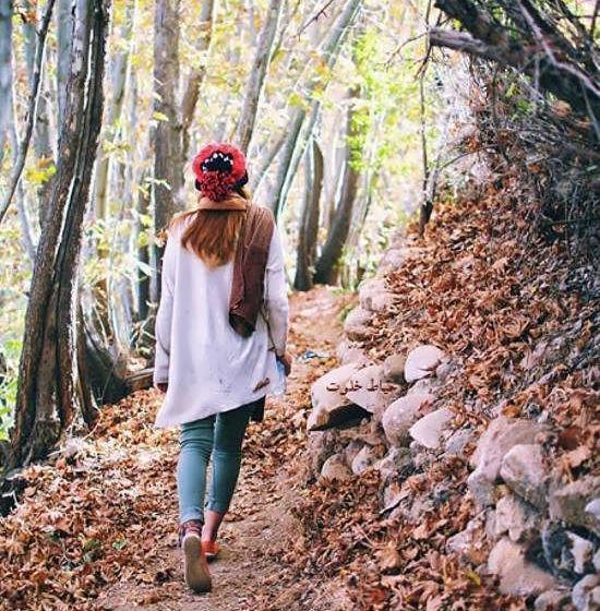 عکس زیبای طبیعت عمودی