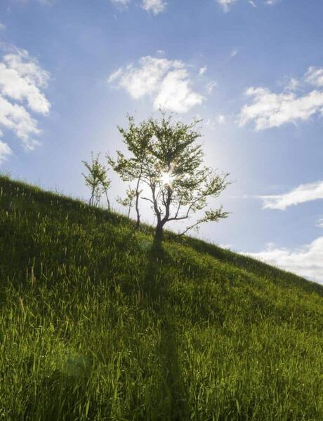 عکس زیبای طبیعت عمودی