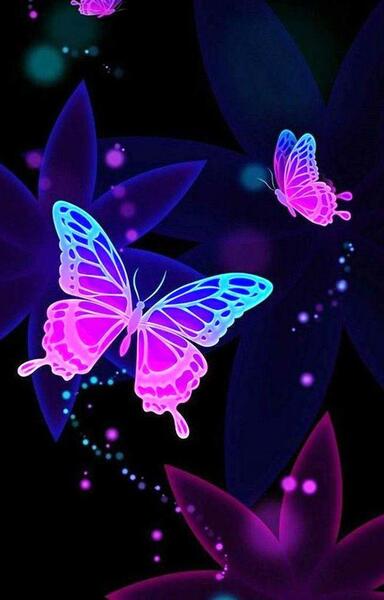 عکس پروانه های زیبا با کیفیت بالا