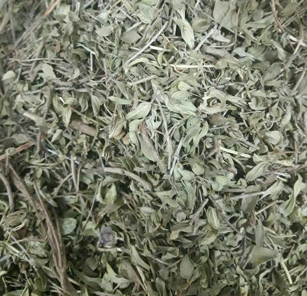 عکس آویشن کوهی خشک