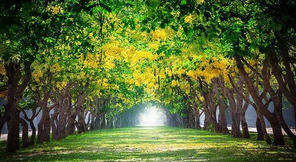 عکس سه بعدی طبیعت