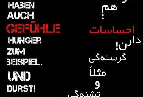 عکس نوشته های آلمانی