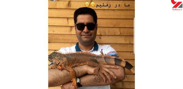 عکس حیوانات آزاده نامداری