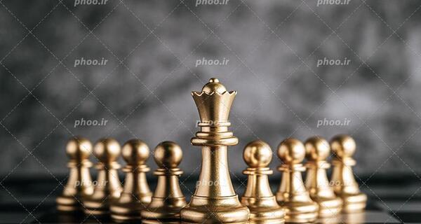 عکس شاه در شطرنج