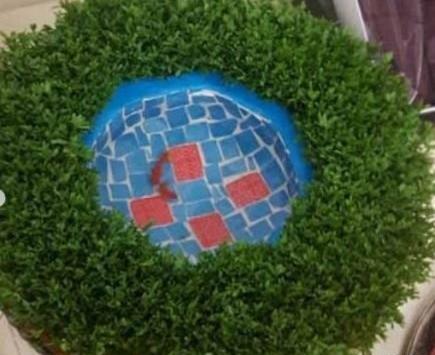 عکس سبزه عید پرتقال