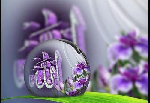 عکس عکس الله