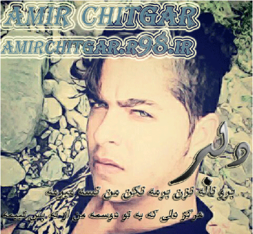 عکس امیر چیتگر