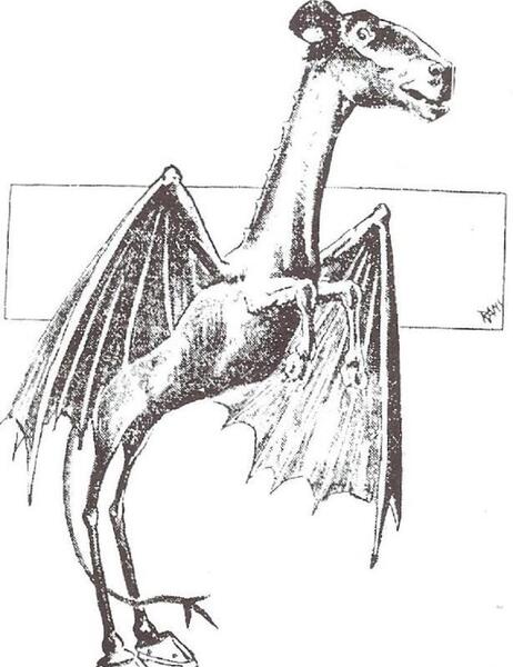 عکس شیطان جرسی