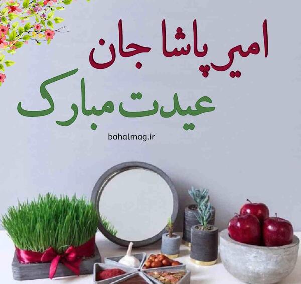 عکس امیر پاشا