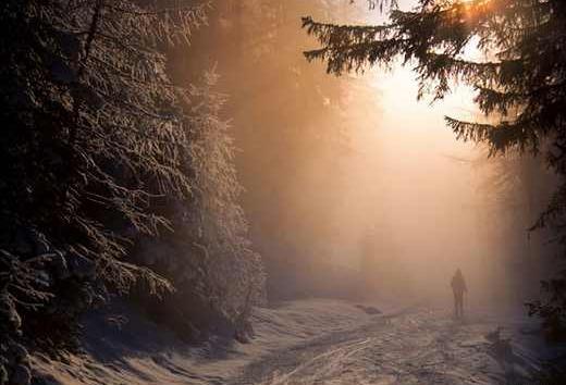 عکس طبیعت غم انگیز