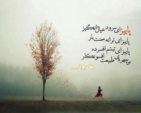 عکس طبیعت غم انگیز
