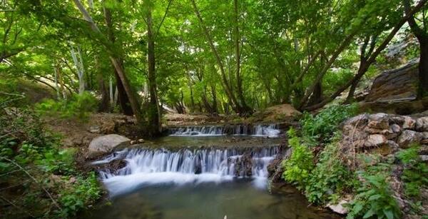عکس از طبیعت فارس