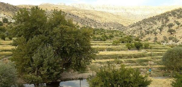 عکس از طبیعت فارس
