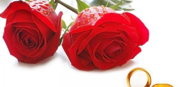عکس پروفایل عاشقانه گل