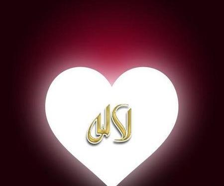 عکس نوشته اسم لاله انگلیسی