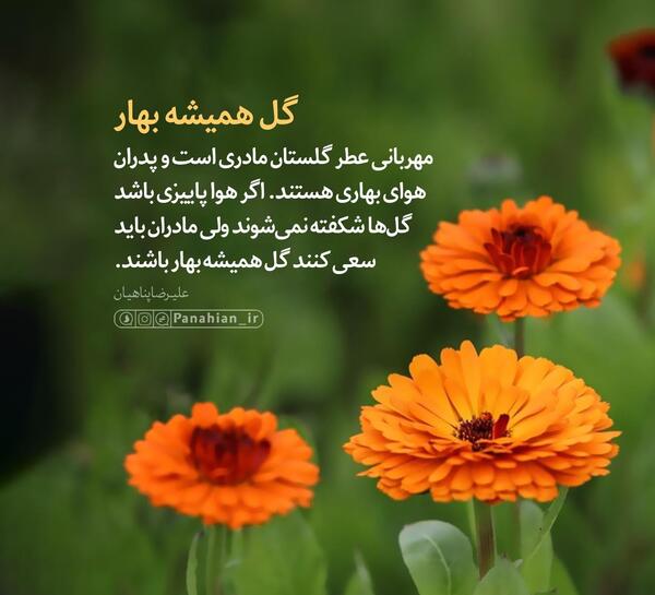 عکس نوشته گل و بهار