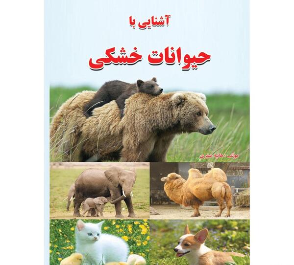 عکس هانیه صفری