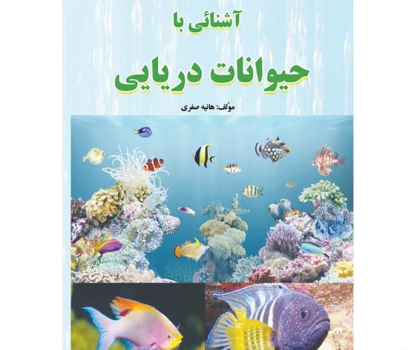 عکس هانیه صفری