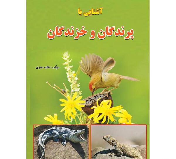 عکس هانیه صفری