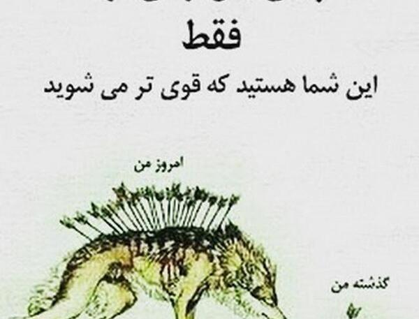 عکس نوشته لاتی مفهومی