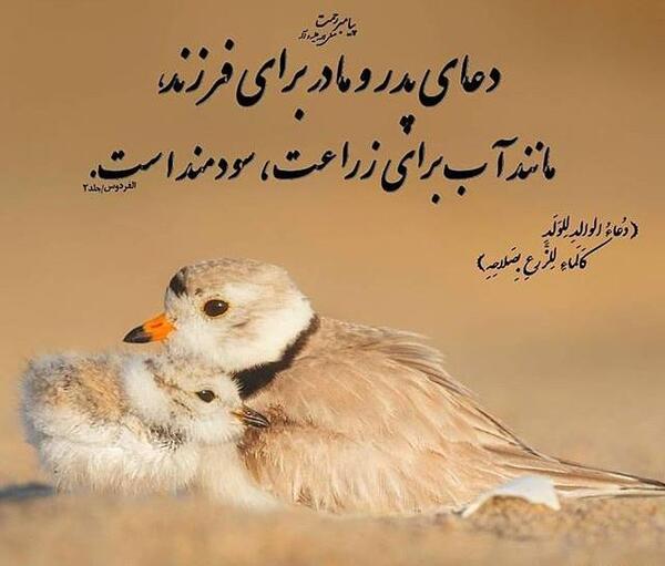 عکس خدایا سرنوشت فرزندانم را زیبا بنویس