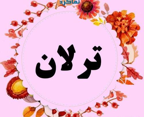 عکس نوشته از اسم صفیه