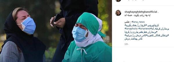 عکس شقایق مقدم