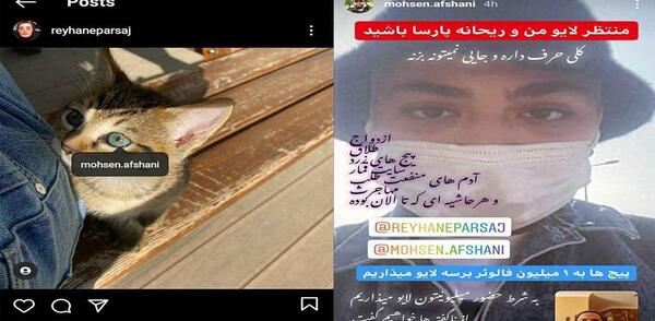 عکس گربه ی ریحانه پارسا