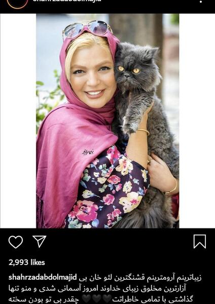 عکس گربه ی ریحانه پارسا